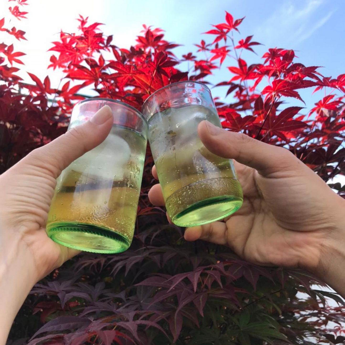 Twin Upcycled Glass Cups (Set of 2)
